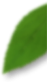 layer-34