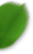 layer-8