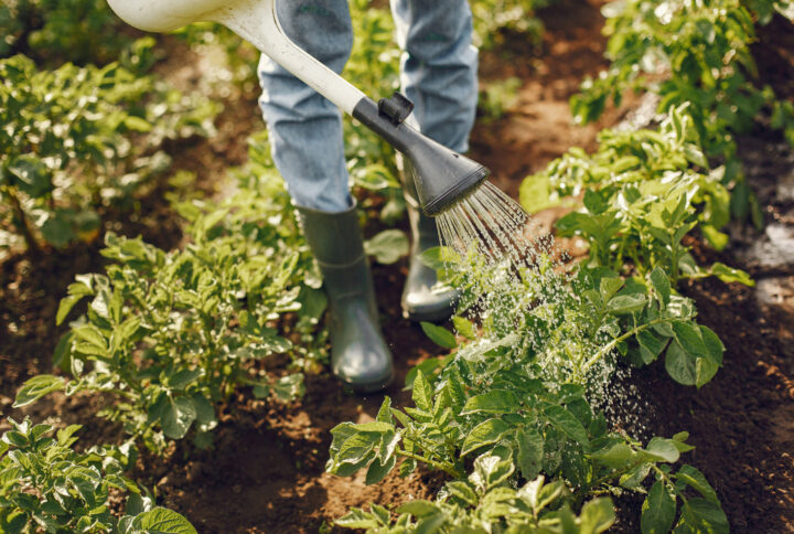 Made confident bigger chance  as.