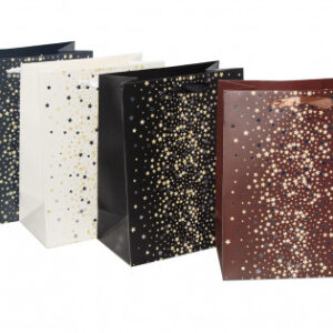 Թղթե տոպրակ նվերի 31x42x12 սմ